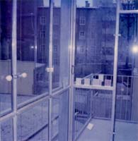 Wintergarten 11